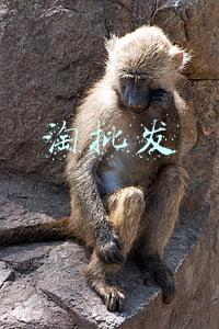淘批发