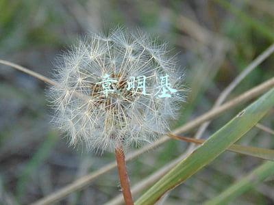 章明基