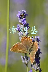 章明基