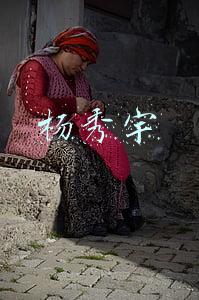 杨秀宇