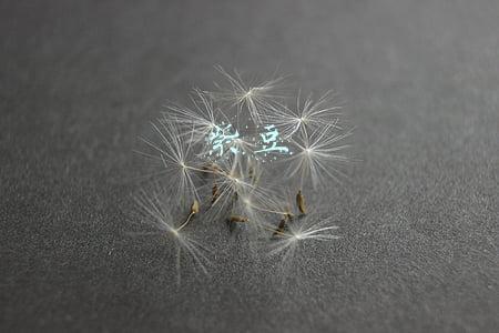 紫豆子的淤血怎么办:重庆女子埋线减肥反致皮肤脓肿溃烂