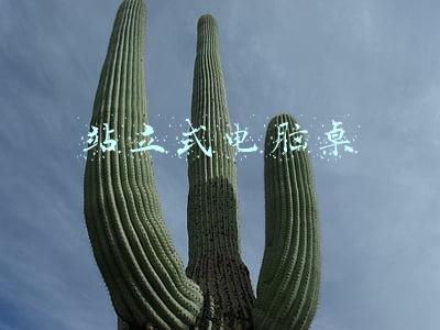 站立式电脑桌