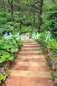 360融资平台:投融资周报 | 360集团领投哪吒汽车20亿 喜茶投资预调酒品牌