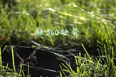 融360融资
