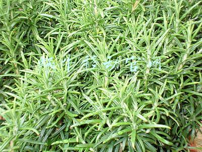 蜗牛移动官网