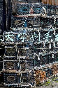 重点大学最新排名:快看！大学最新排名出炉！27所中国高校冲进世界百强