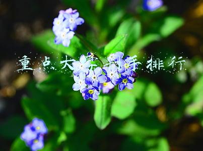 重点大学剁手排行