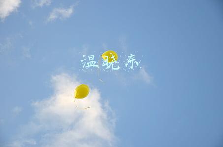 温晓东