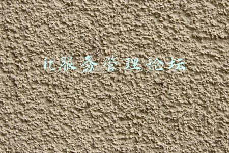 it服务管理论坛