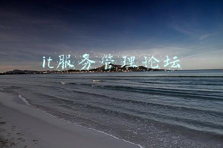 it服务管理论坛