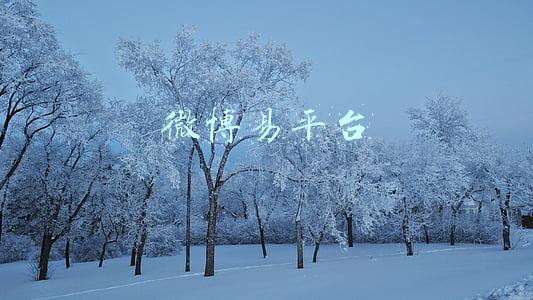 微博易平台