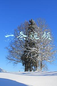 一条视频