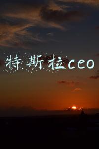 特斯拉ceo