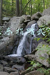 京东捐赠武汉