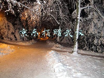 京东捐赠武汉