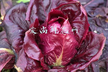 爱尚鲜花网的特色商品有哪些:上市公司“爱尚鲜花”公布刷单细节 涉及天猫、淘宝、京东