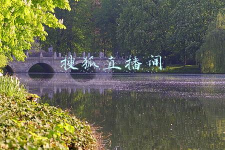 搜狐直播间