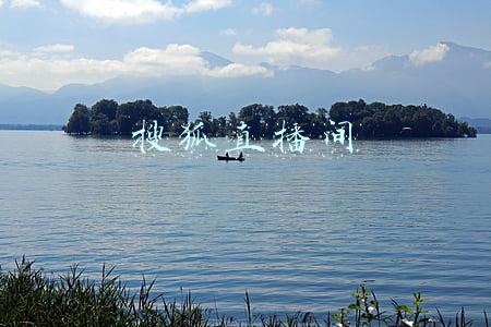 搜狐直播间