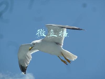 微直播平台:中国田径协会携手新华网体育打造“中国马拉松平台”微直播体系