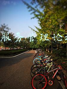 it服务管理论坛