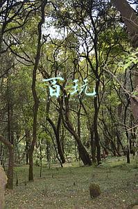 百玩