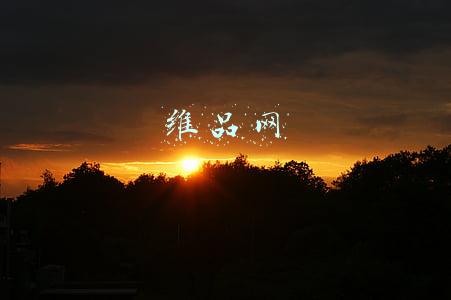 维品网