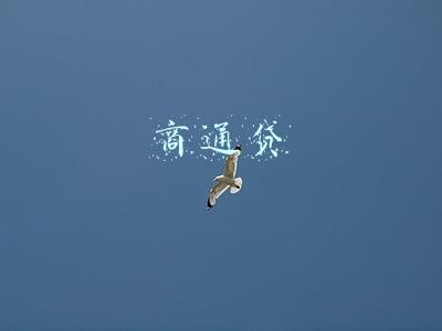 (商通贷是哪个银行的)小微企业金融服务研究—金融服务现状