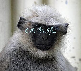 cm系统