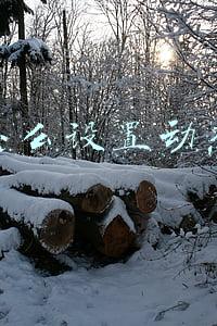 抖音怎么设置动态壁纸