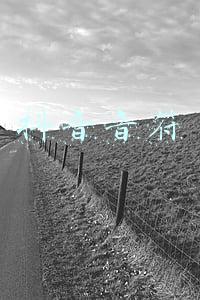 抖音音符