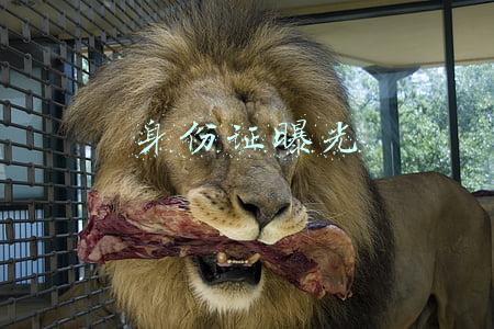 身份证曝光