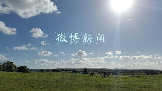 微博新闻