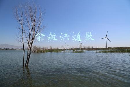 俞敏洪道歉