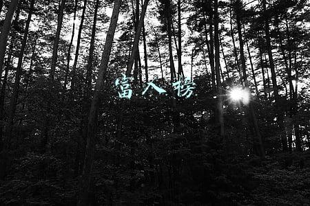 富人榜