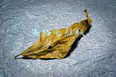 赛格电脑城