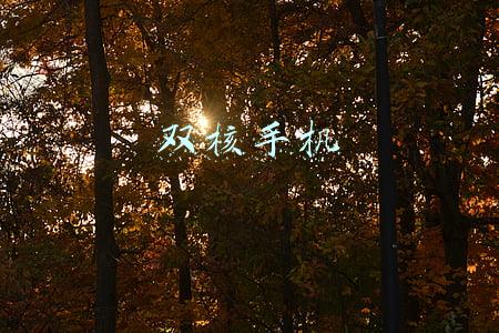 双核手机