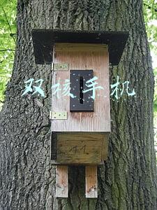 双核手机