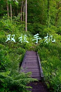 双核手机