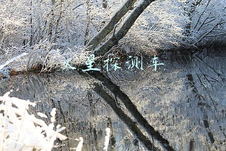 中国第一辆火星探测车(祝融、弘毅、赤兔……中国第一辆火星车叫什么名字？)