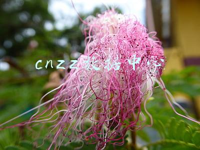 cnzz数据中心