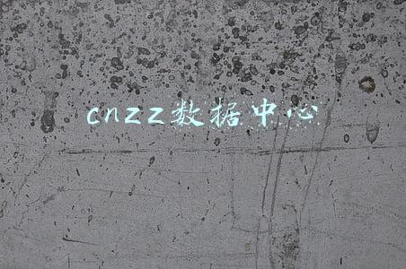 cnzz统计采集(数据采集与分析-神策数据 VS 友盟统计)
