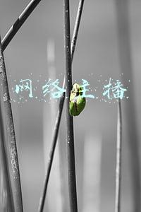 网络主播是干什么的(人民艺起评：莫让低俗成为网络直播的标签)