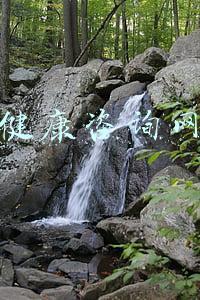 健康咨询网