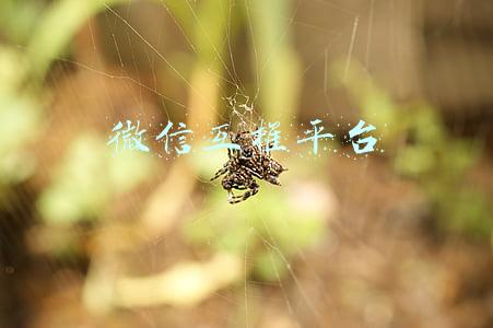 微信互推软件(“微信互推”新型骗局来了！67名“微商”被骗120万元！)