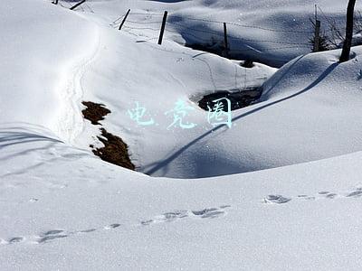 电竞圈