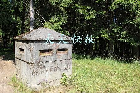 天天快报