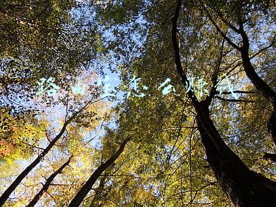 路由宝怎么赚钱