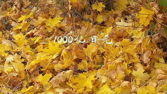 1000亿日元