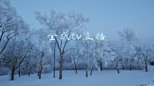 全民tv直播