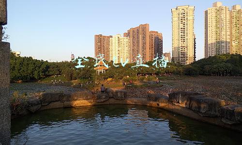 全民tv直播